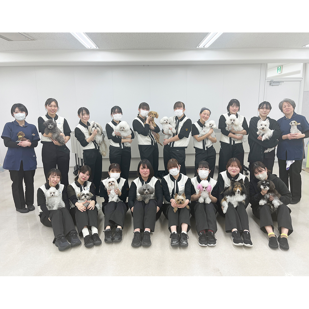 モデル犬の写真撮影会PART②